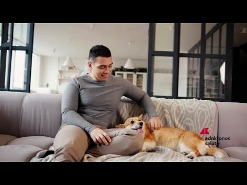 Animali: ricerca, cresce e supera 20 milioni il numero di cani e gatti in Italia