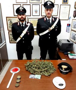 Smarrisce il cane, lo riportano i carabinieri ma gli trovano 2 etti di marijuana