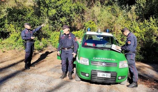 Vado Ligure arrestato 31enne con mezzo chilo di cocaina. Preso un piromane a Ventimiglia