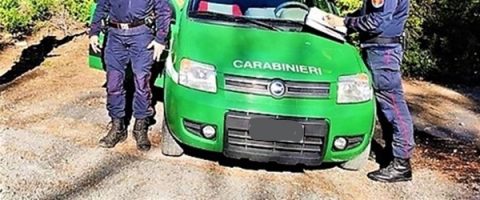 Signora di Savona beccata a Sassello a correre, denunciata da carabinieri