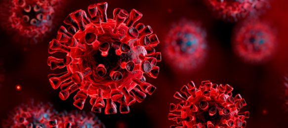 Coronavirus Liguria. Situazione: 25 casi, 14 ospedalizzati. Oggi decisione sulle scuole