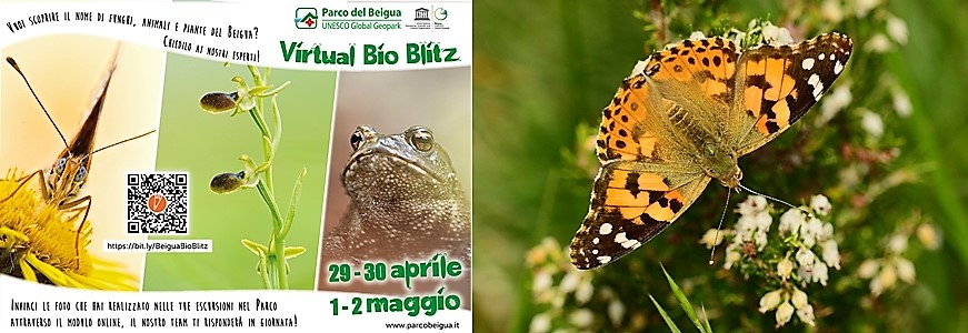 Scopri la natura nel Parco del Beigua con Virtual Bio Blitz