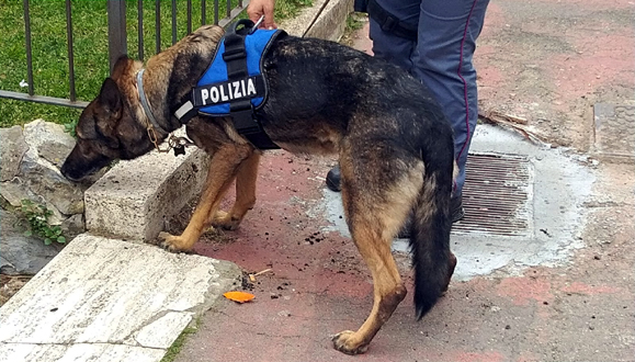 Controlli nel centro storico di Genova: 2 italiani e 39 stranieri, 3 denunciati per spaccio e irregolari