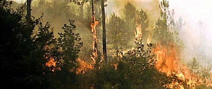 Tribunale di Alessandria condanna un pastore 70enne a 11 anni di carcere per incendi boschivi