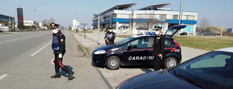 Basso Piemonte, operazioni dei carabinieri di Casale, Tortona, Alessandria: anche un furto di api