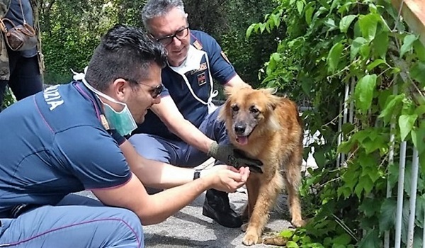 Denunciata per maltrattamenti. Savona ore 11, c’è ancora chi lascia il cane chiuso in auto a rischiare la morte