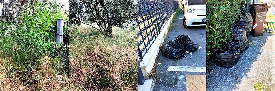 Albissola Mare, le gabbie coi cinghiali non ci sono più