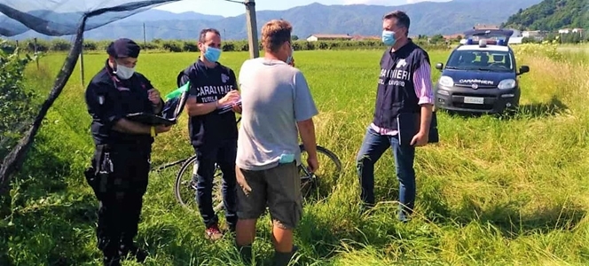 Cuneese, controllate aziende agricole dai carabinieri, 11 lavoratori in nero per 50mila euro di multe