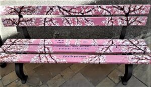 peagna ceriale, panchina rosa, donna, attualità