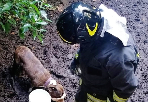 Vigili del Fuoco salvano un cane a Sciarborasca caduto in una cisterna