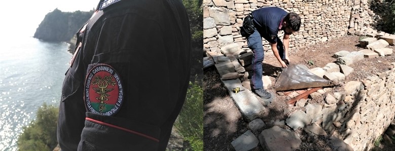 Cinque Terre, in un cantiere abusivo i carabinieri trovano piante e semi di Cannabis