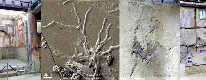 Pompei eruzione 79 d.C. nuove scoperte, trovati neuroni nel cervello vetrificato di una vittima