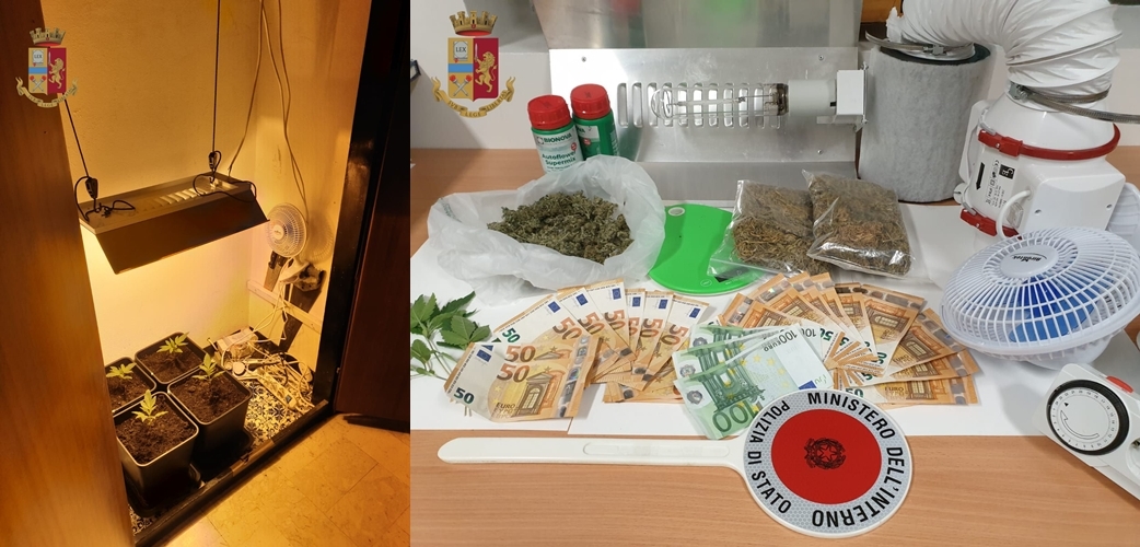 Genova cronaca breve. Dal pusher uscito di galera in estate e vi rientra ora a chi coltiva cannabis nell’armadio, chiuso un kebab