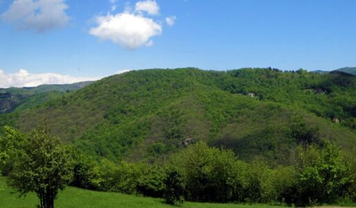 Sassello e il suo Monte. La Cet ci riprova a scavare il Tariné