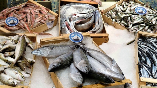 Per 8 italiani su 10 sarà il pesce a trionfare sulla tavola nel pranzo natalizio