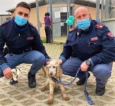 Storia di Pinky. Salvata da una pattuglia della Polizia di Asti e poi…