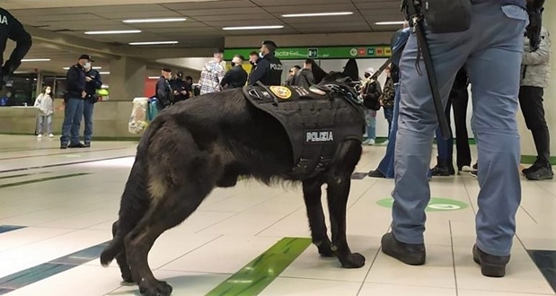 Genova cronaca breve: vandali, preso ricercato internazionale, ubriaco col coltello, beccato in stazione