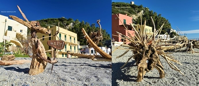 Dopo il mare di legno, anche Varigotti ha il suo zoo