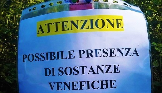 Ronde contro chi avvelena i gatti a Celle Ligure su da Sanda