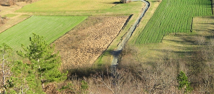 Agricoltura Italia 2020 prima in Europa. Effetto pandemia?