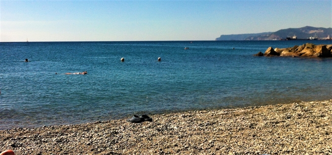 Balneari, pesca e ormeggiatori in Regione Liguria