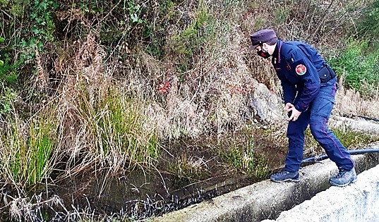 Specie protette. Nuovi siti produttivi alle Cinque Terre