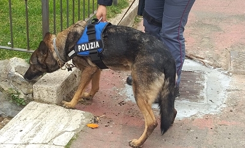 Genova cronaca breve. Denunce furti, molestie, ubriachezza