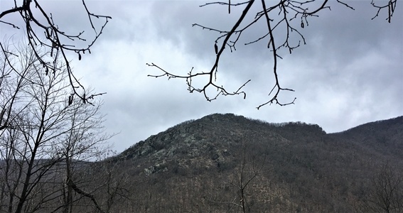 Tarinè ancora in Regione, risposte Giunta lasciano dubbi