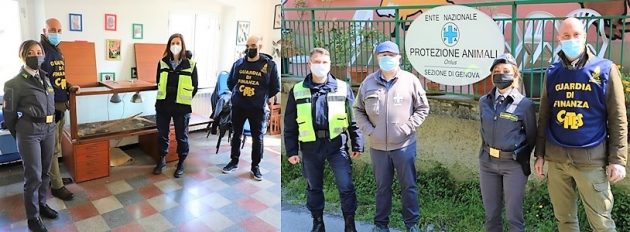 Porto Genova, sequestrate 43 testuggini e 96 pappagalli