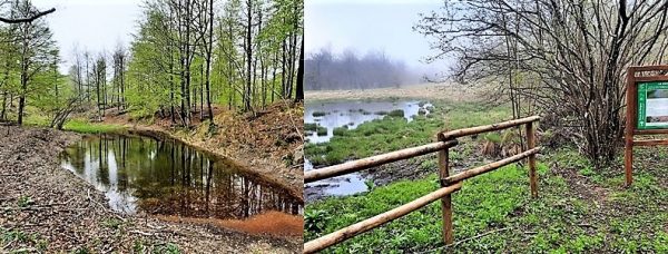 Parco Beigua, sviluppo zone umide Piampaludo e Laione