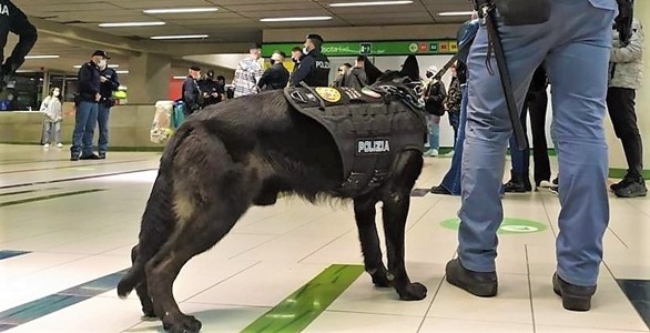 Genova brevi. Topi d’auto, fuga dalla comunità, false generalità