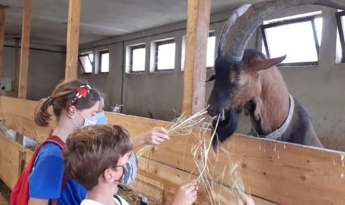 Fine settimana nel Beigua: trekking fotografico, al Bricco, Alpicella, Badia