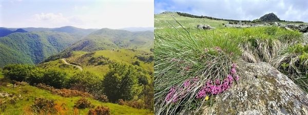 Parco Beigua e trekking, fine settimana tra pascoli e piante carnivore