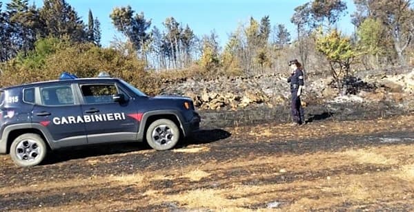 Incendi, dopo il divieto in Liguria denunciato agricoltore, rischia 5 anni