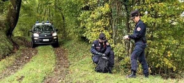 Lotta al bracconaggio spezzino, abbattuto cinghiale e salvata una madre