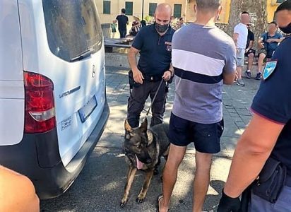 Il cane Onah scopre droga e spacciatori nel centro di La Spezia