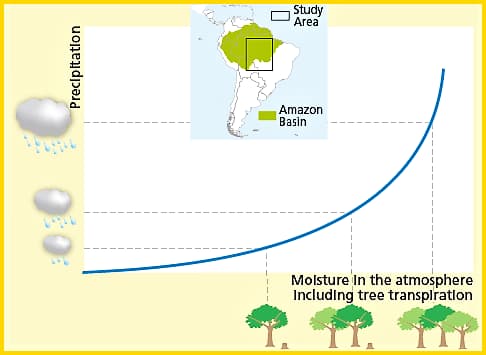 Cnr, perché la deforestazione in Amazzonia riduce le piogge