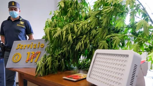 49enne gestiva una coltivazione di marijuana ad Asti, denunciato