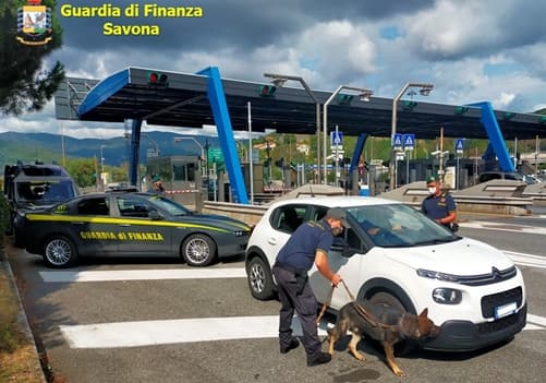 Finanza Savona, arresti e denunce per droga nei luoghi della movida