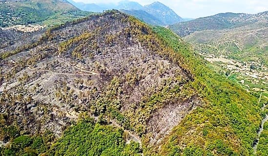 Savona incendi, Vazio sollecita Toti sulla richiesta di stato calamità naturale