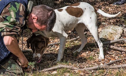 Parte domani la stagione ligure del tartufo, Millesimo è pronto