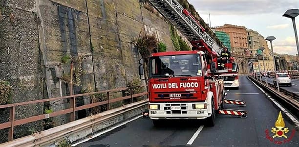 Genova intervento sulla sopraelevata per albero pericolante