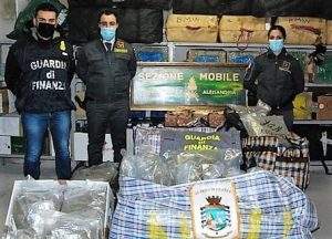 Gdf 1 alessandria Maxi sequestro di hashish e marijuana e 4 arrestati