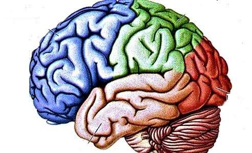 Giornata mondiale Alzheimer, in Liguria 38 mila affetti da disturbi neuro cognitivi