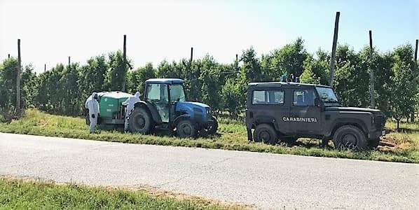 Azienda agricola nei guai per morte di 11 bovini, avevano ingerito erbicida