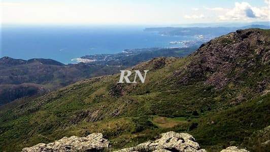 In cammino nei parchi, domenica 12 giugno nelle aree protette liguri