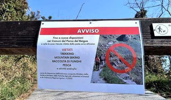 Peste suina indennizzi, escluse le filiere agricole e turistiche