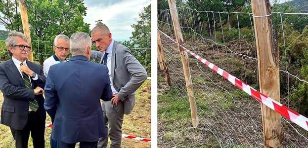 Peste suina, via alla recinzione iniziata alle Abasse di Ponzone