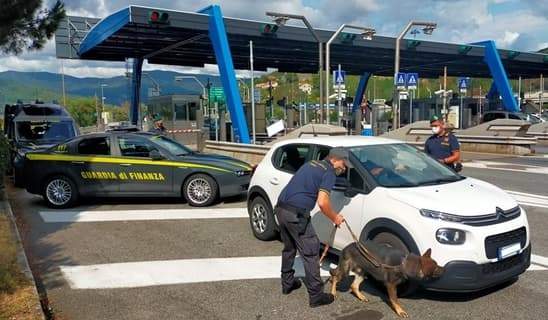 Finanza Savona, arresto per spaccio, due denunce e 17 segnalazioni