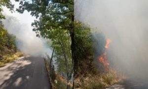 Incendi 1 Albenga e Varazze